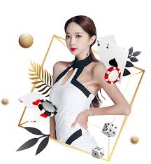 私密视频播放器免费版