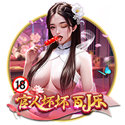 私密视频播放器电脑免费版